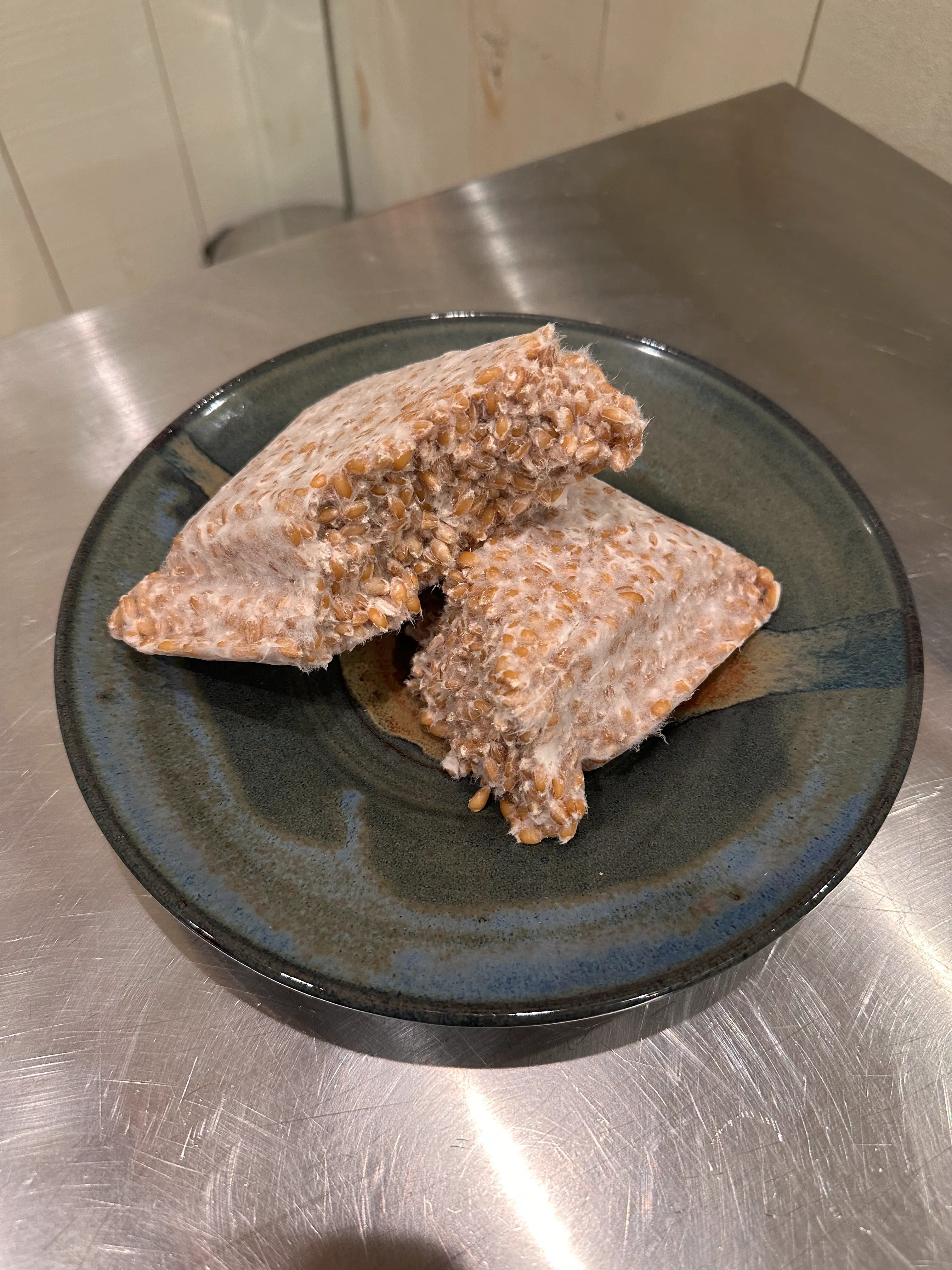 Emmer Tempeh