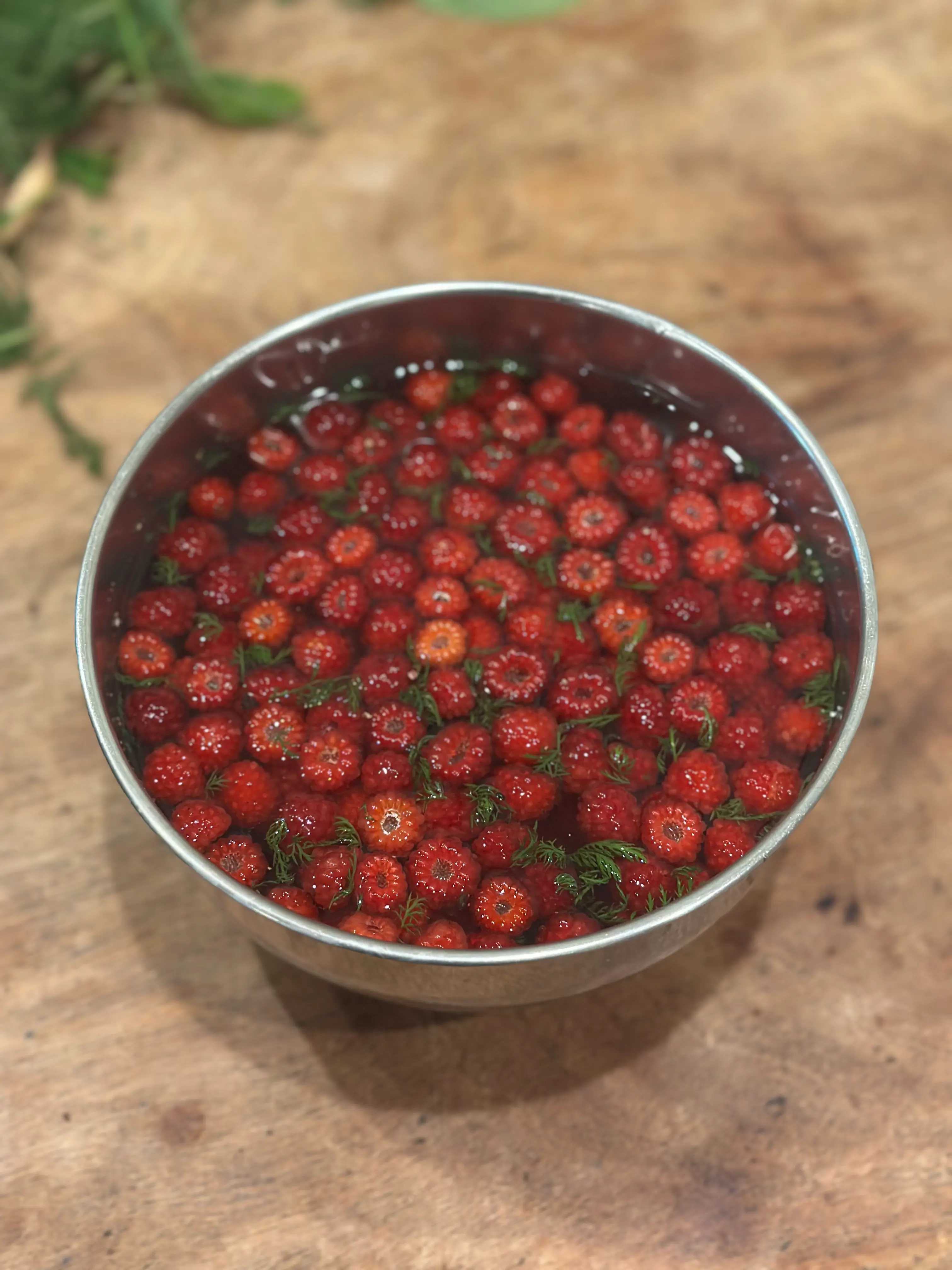 Lacto Wineberries