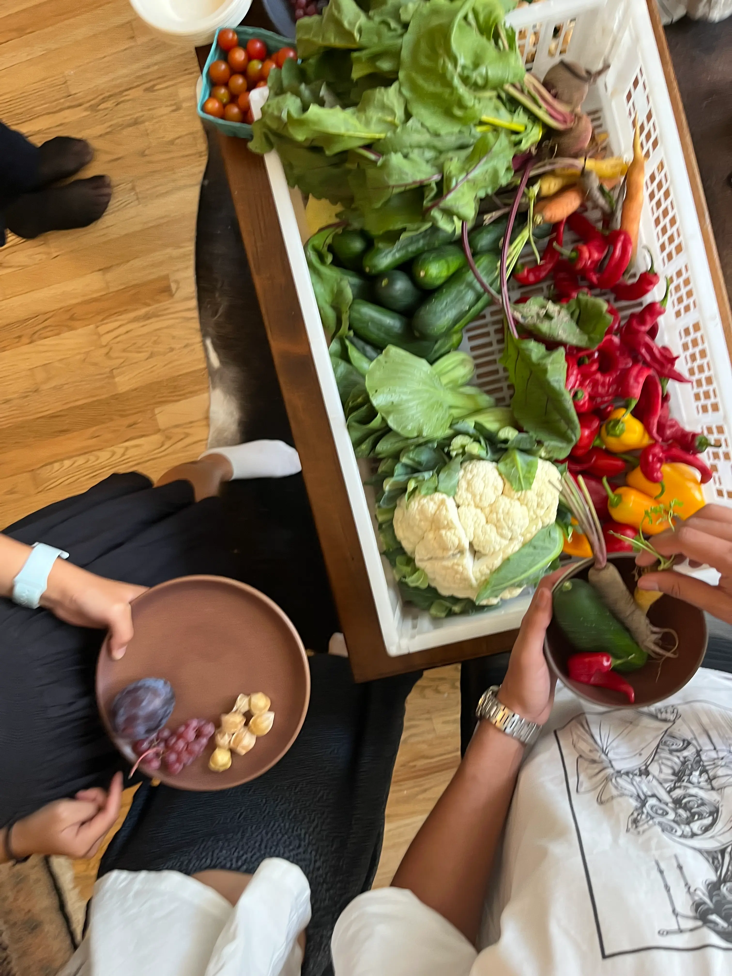 The Fermentation Workshop 6