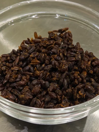 Rye Koji Coffee 3
