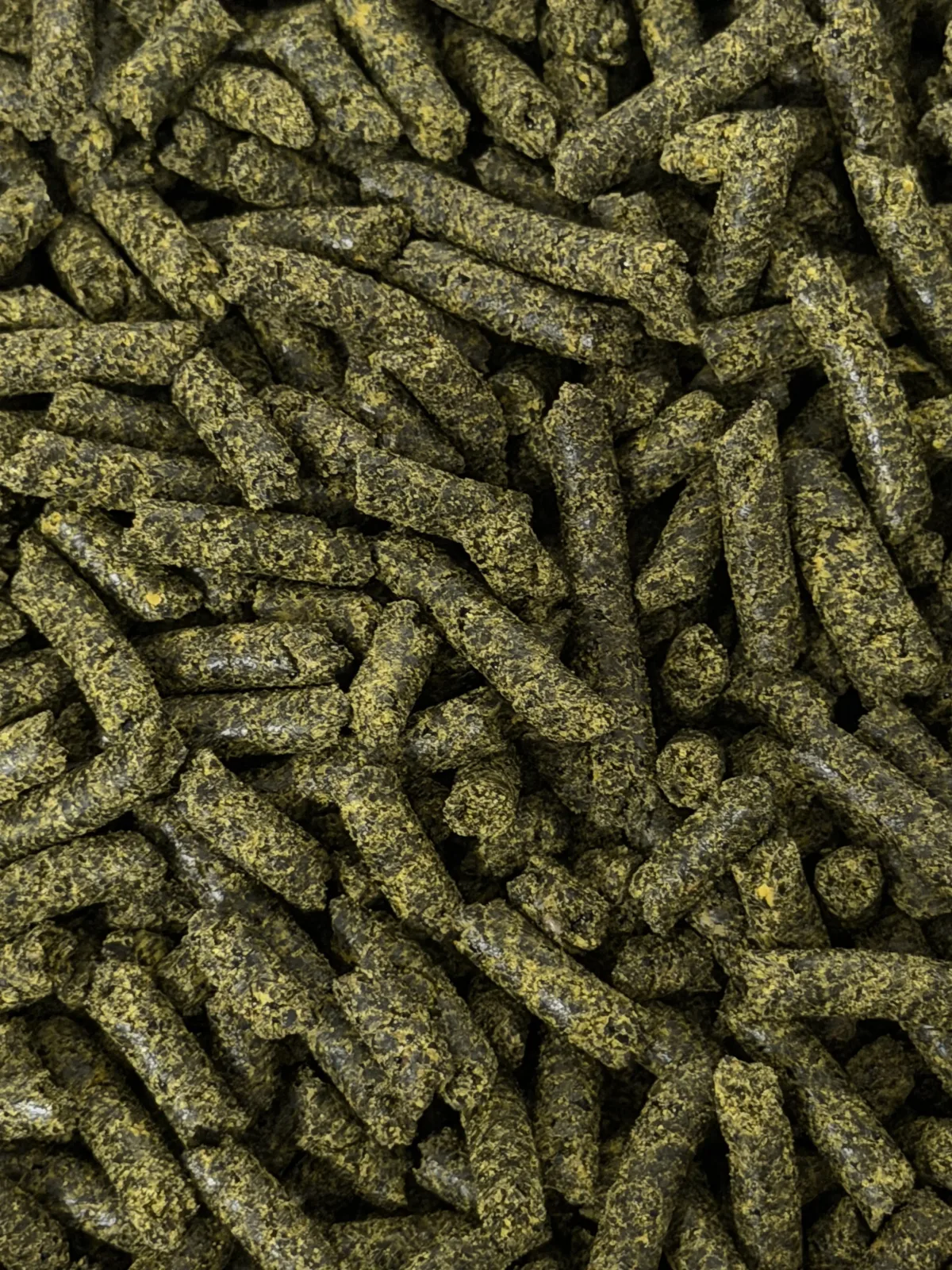 600