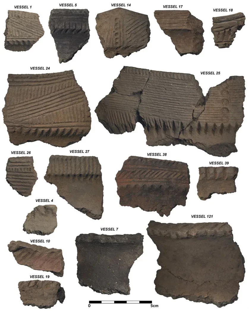 Dawson Site Rimsherds (Tache Et Al 2025)