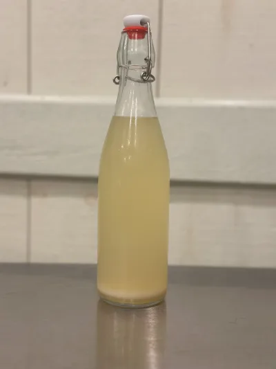 Lacto Amazake